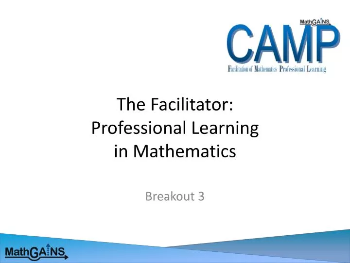 the facilitator professional learning in mathematics