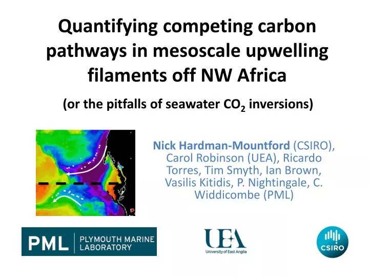 quantifying competing carbon pathways in mesoscale upwelling filaments off nw africa