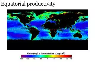 Equatorial productivity