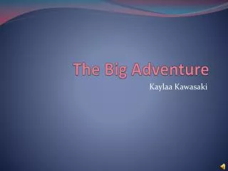 The Big Adventure