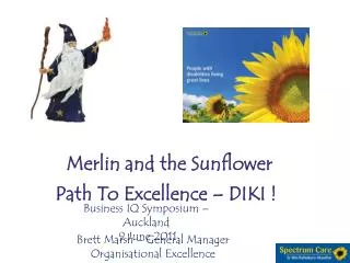 Merlin and the Sunflower
