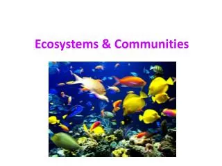 Ecosystems &amp; Communities