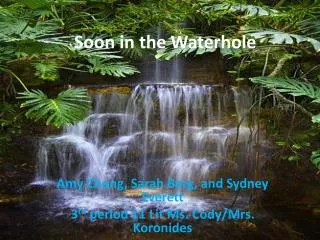 Soon in the Waterhole