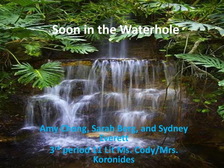 soon in the waterhole