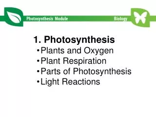 1. Photosynthesis Plants and Oxygen Plant Respiration Parts of Photosynthesis Light Reactions