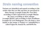 Understanding Strain Naming in Virology - slide 1
