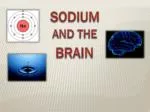 SODIUM