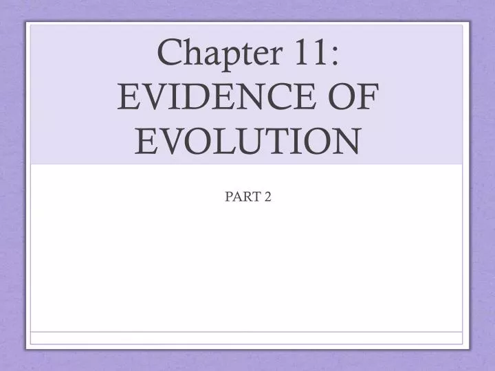 chapter 11 evidence of evolution
