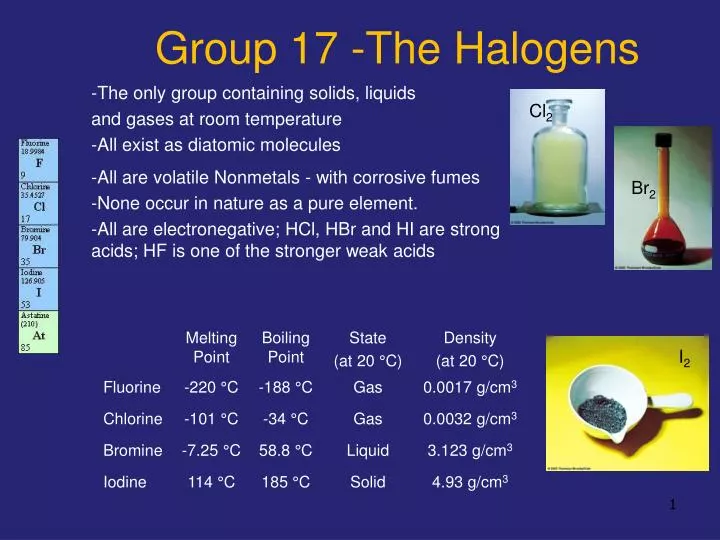 group 17 the halogens