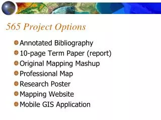 565 Project Options