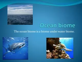 Ocean biome
