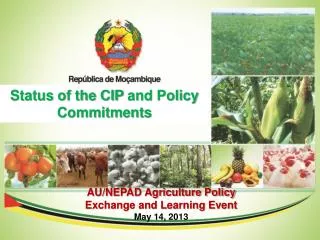 Status of the CIP and Policy Commitments