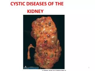 CYSTIC DISEASES OF THE KIDNEY