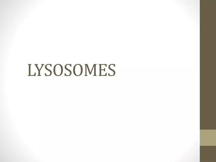 lysosomes