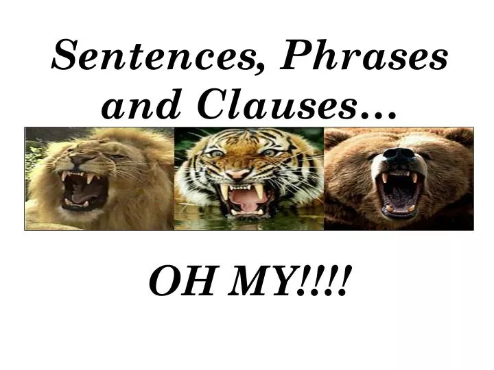 sentences phrases and clauses