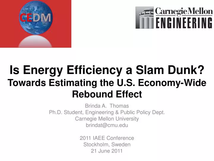 is energy efficiency a slam dunk towards estimating the u s economy wide rebound effect