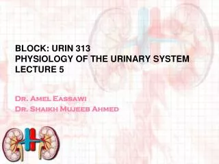 Block: URIN 313 Physiology of THE URINARY SYSTEM Lecture 5