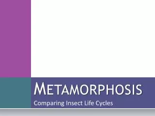 Metamorphosis