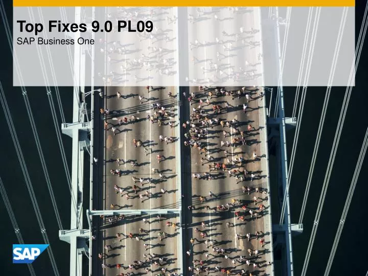 top fixes 9 0 pl09 sap business one