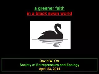 a greener faith in a black swan world