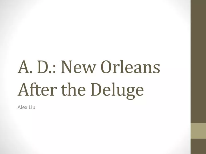 a d new orleans after the deluge