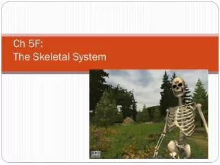 Ch 5F: The Skeletal System