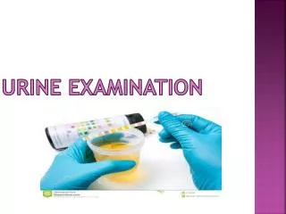 Urine Examination