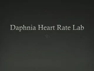 Daphnia Heart Rate Lab