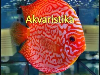 Akvaristika