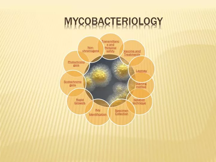 mycobacteriology