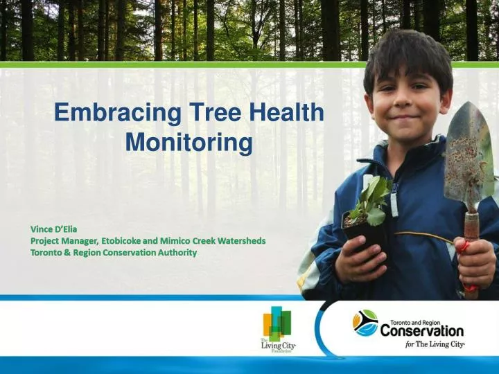 embracing tree health monitoring
