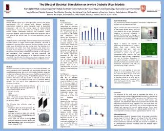 The Effect of Electrical Stimulation on in vitro Diabetic Ulcer Models