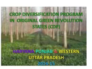 CROP DIVERSIFICATION PROGRAM IN ORIGINAL GREEN REVOLUTION STATES (CDP)