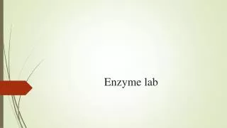 enzyme lab
