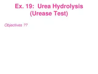 Ex. 19: Urea Hydrolysis ( Urease Test)