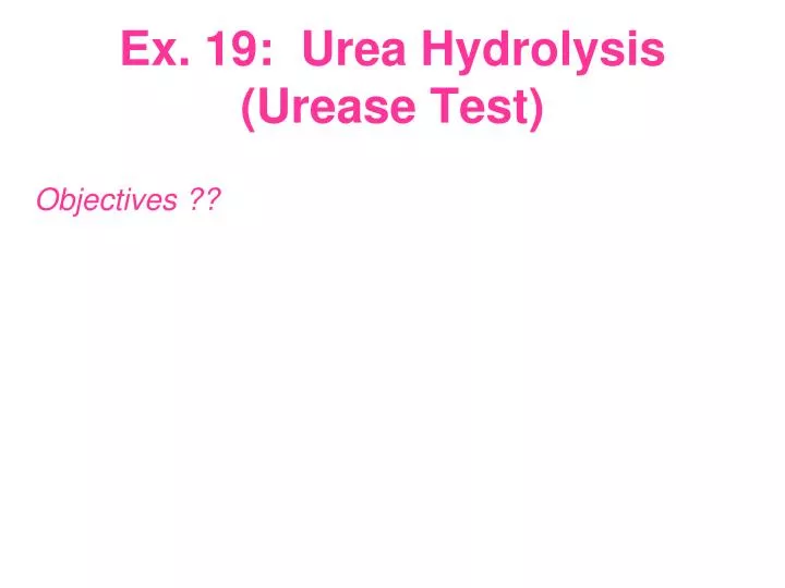 ex 19 urea hydrolysis urease test