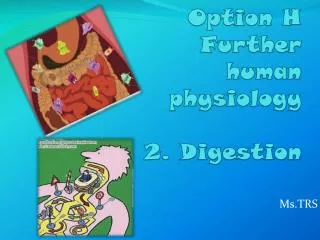 Option H Further human physiology 2. Digestion