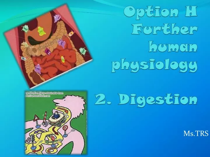 option h further human physiology 2 digestion