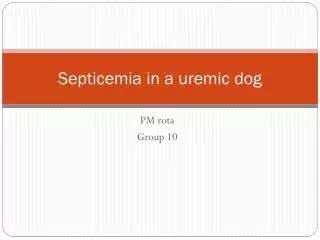 Septicemia in a uremic dog