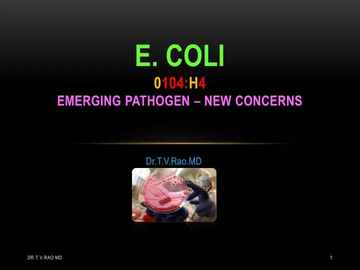 e coli 0 104 h 4 emerging pathogen new concerns