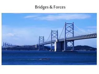 Bridges &amp; Forces