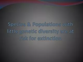 Species &amp; Populations with little genetic diversity are at risk for extinction