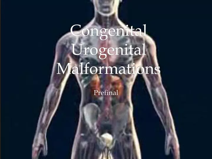 congenital urogenital malformations