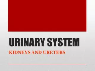 URINARY SYSTEM