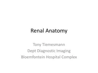 Renal Anatomy