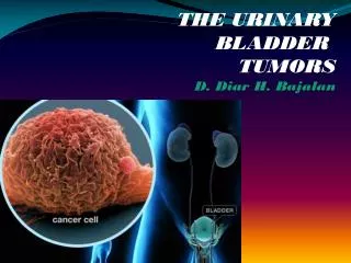 THE URINARY BLADDER TUMORS D. Diar H. Bajalan