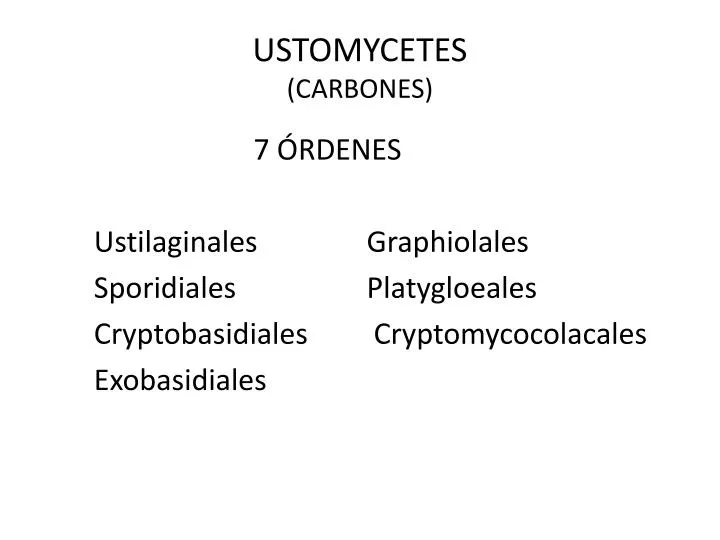 ustomycetes carbones