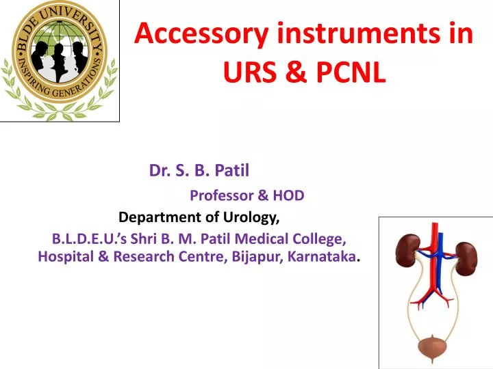 accessory instruments in urs pcnl