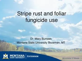 Stripe rust and foliar fungicide use