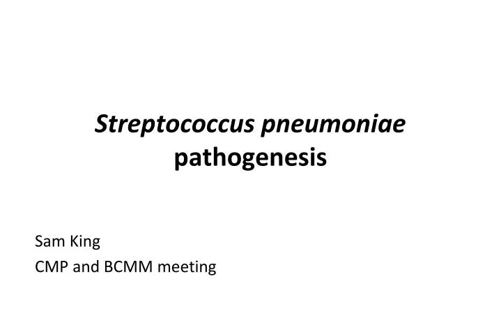 streptococcus pneumoniae pathogenesis